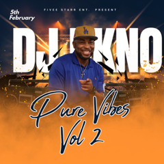 Pure Vibes Vol 2