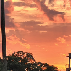 chop da brain (greg + escape)