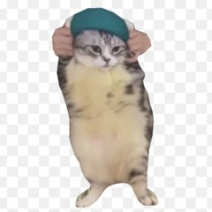 Love me or hate me (remix)