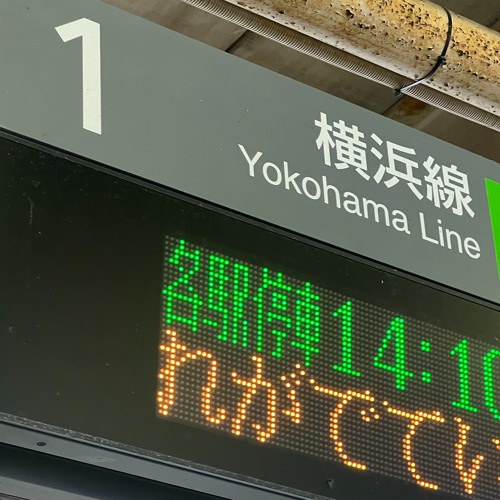 Hashimotooooooo
