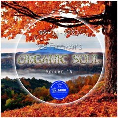 Organic Soul Vol.14 - November 5th 2021 podcast