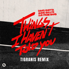 Things I Haven’t Told You (TIGRANIS REMIX)