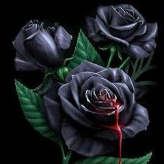 Laneyo & Don - Missed Yo Bag