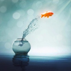 Fishbowl - Demo