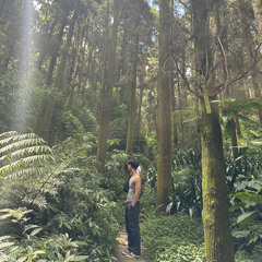 Gone (prod.SOGIMURA)