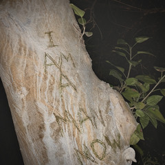 shevalier, Infinity Frequencies - I Am a Man Now