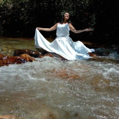 NAS ASAS DE UM BEIJA FLOR - Clau do Espírito Santo