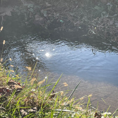 never thought i'd get here (lonecrow)