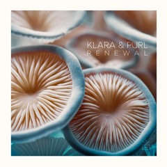[LSYA007] Klara & Purl - Renewal (Previews)