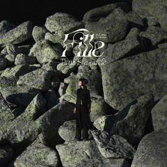 PREMIERE: FILLE - Time is a Circle (Sestrica Remix) [DSG005]