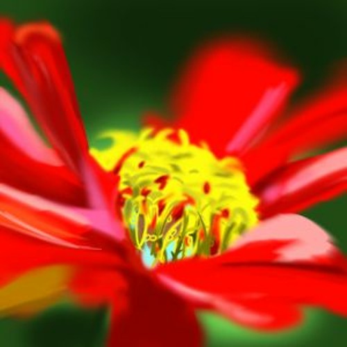 Kenneyon and Kara - Wildflower