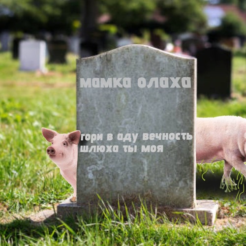 У Аллаха сдохла мать