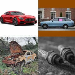 irish wildlife trust