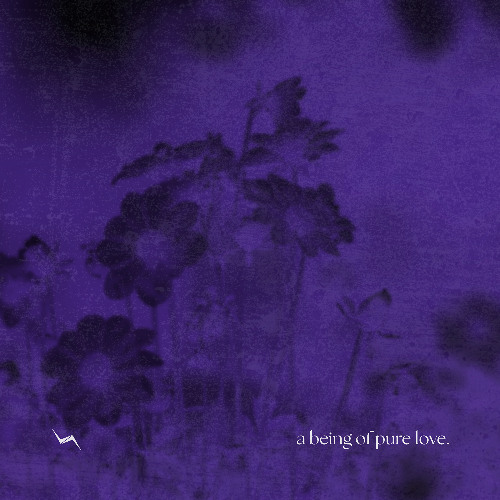 Snits - Light in the Darkness