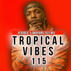 Afropiano Vibes 2023 vol.2 | Top amapiano mix 2023 | Tropical Vibes 115
