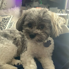 SAULT Water Scenery.mp3