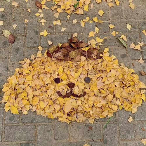 can it be fall already? im tired of waiting
