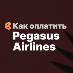 Как покупать билеты на Pegasus Airlines из России в 2024 году