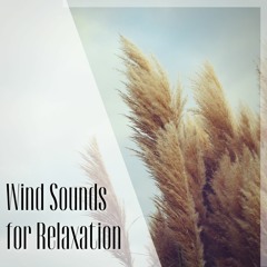 Wind Sounds for Relaxation and Meditation, Part 7
