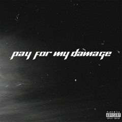 PAY FOR MY DAMAGE