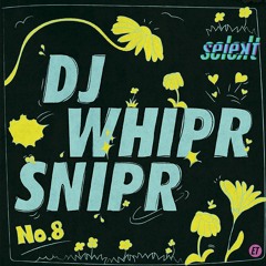 SELEKT MIX | EIGHT - DJ WHIPR SNIPR
