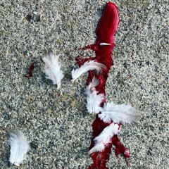 Slowdoom86 (instrumental)