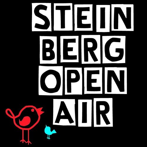 deepdeep feat Natascha Blomma - back in the days - Steinberg Open Air Live Set - Live Sax 2014.