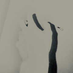 Ivons & Senglar - An Organ in the Basement