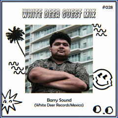WDR Guest Mix #028 - Barry Sound