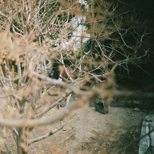 2 years yearning.demo