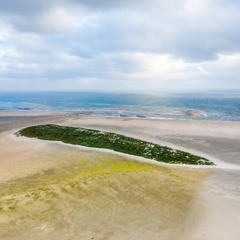 #41 Op een onbewoond eiland Richel