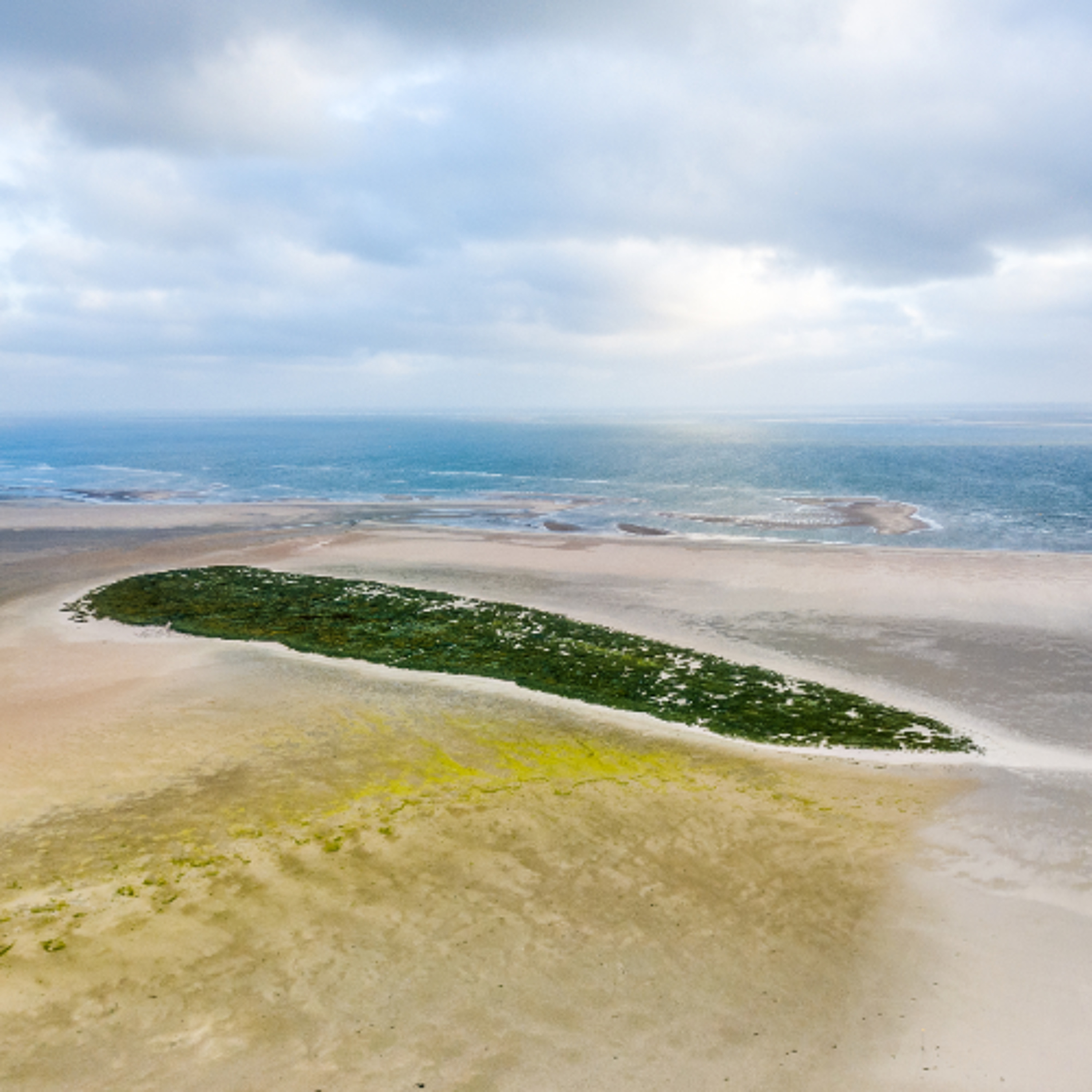 #41 Op een onbewoond eiland Richel
