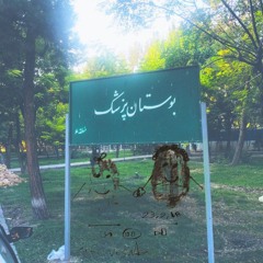 boostan pezeshk