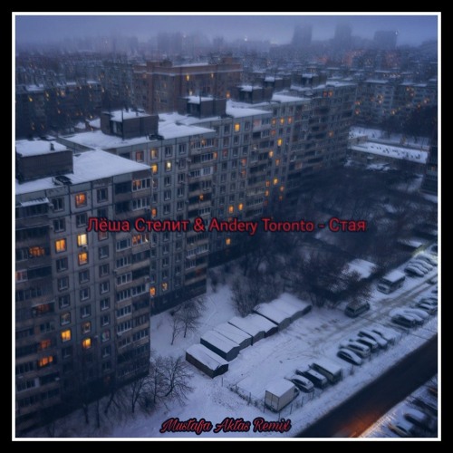 Лёша Стелит & Andery Toronto - Стая (Mustafa Aktas Remix)