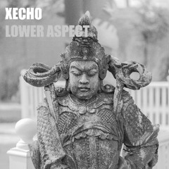 LOWER ASPECT