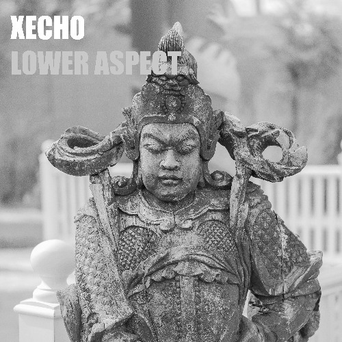 LOWER ASPECT