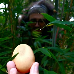the biltmoore egg