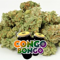Congo Bongo