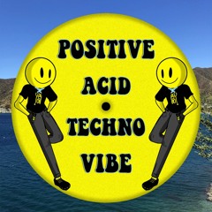 Positive Acid Techno Vibe