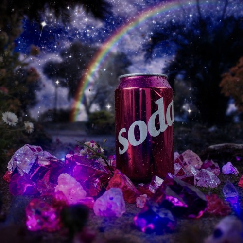 その他 soda Black Cherry (12-Pack) – Fresh Fizz Sodas