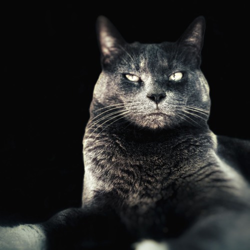 Live@32EarMoontribeNightSet