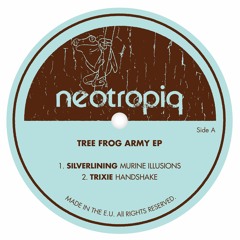 Various Artists - Tree Frog Army EP (NtQ006)