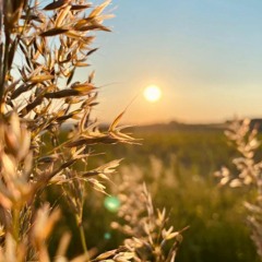 Chilling And Relaxing