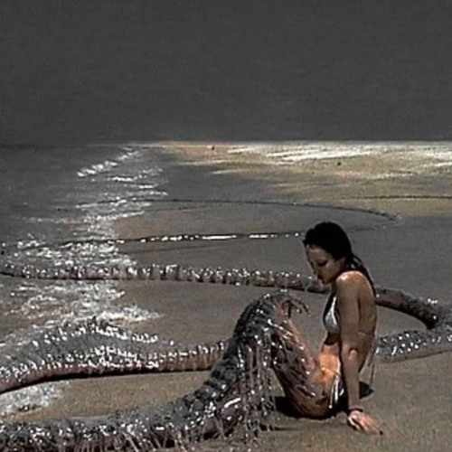 Same Pain/Bubble (Global)