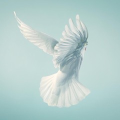 Reiki Rave XXIII: Mercury Direct - Integration 6.3.22