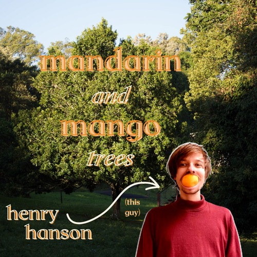 Mandarin and Mango Trees