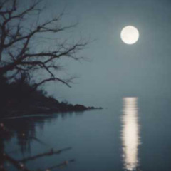 Pour Me Passer De Toi (Feat. Alan, lead vocal)