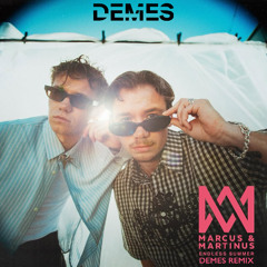 Endless Summer (DEMES Remix)