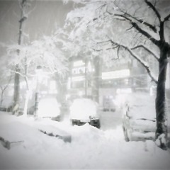 In the winter snow w u