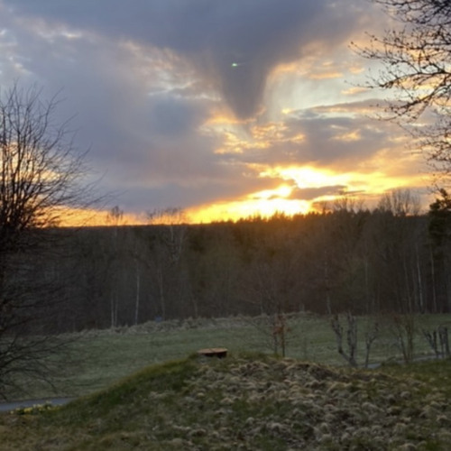 losing feelings loop [bday pak]